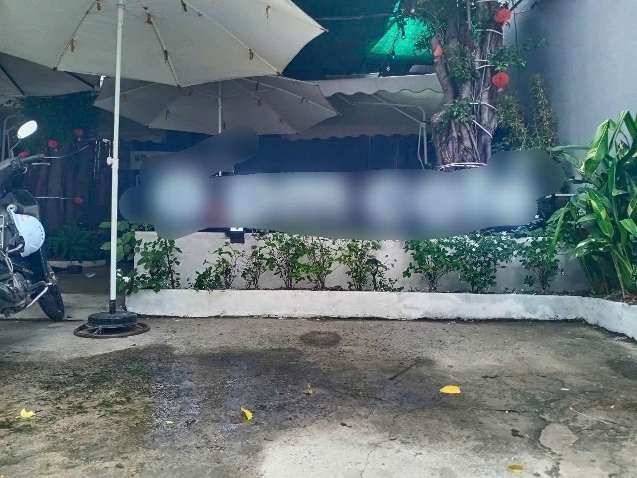 Sang quán cafe sân vườn mặt tiền, gần trường đại học – phường 6, quận gò vấp