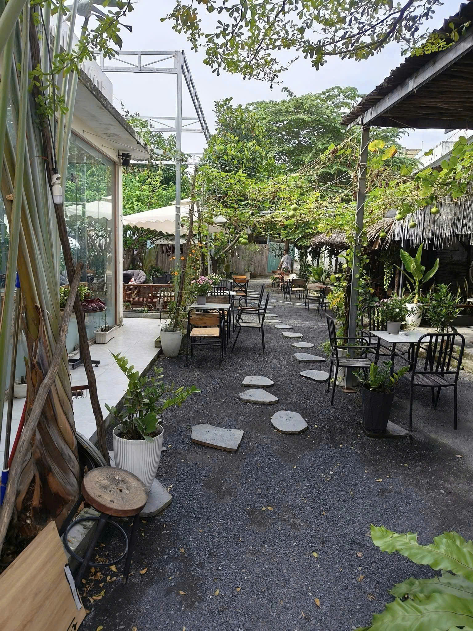 Sang quán cafe sân vườn siêu rộng 900m2 , Phường 16 , Quận Gò vấp 