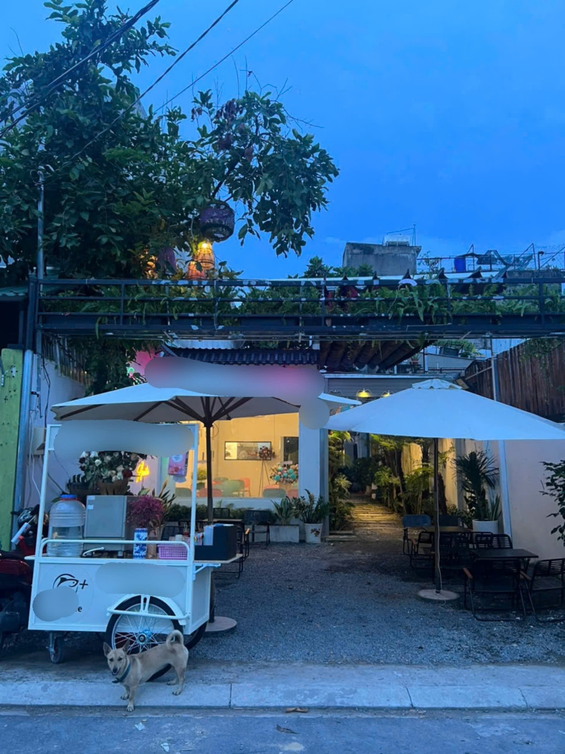 Sang quán cafe sân vườn thoáng mát , Hocmon , TP, HCM