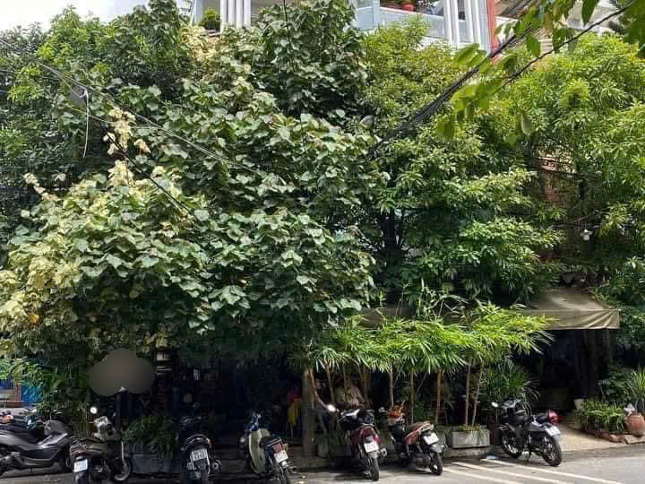 Sang quán cà phê góc 2 mặt tiền đường Tân Sơn Nhì, Tân Phú.